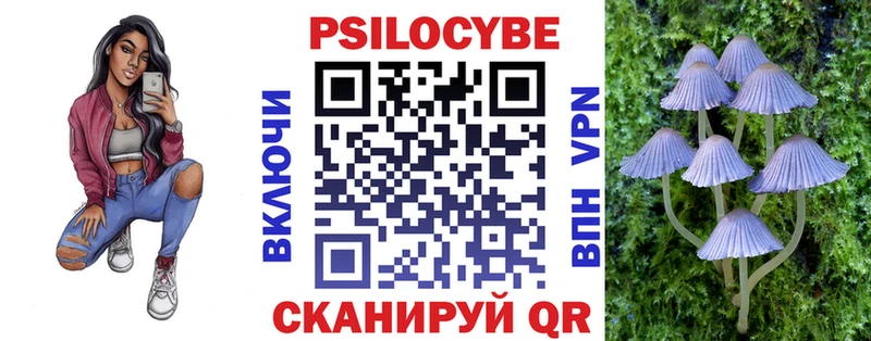 blacksprut   Уссурийск  Псилоцибиновые грибы прущие грибы 