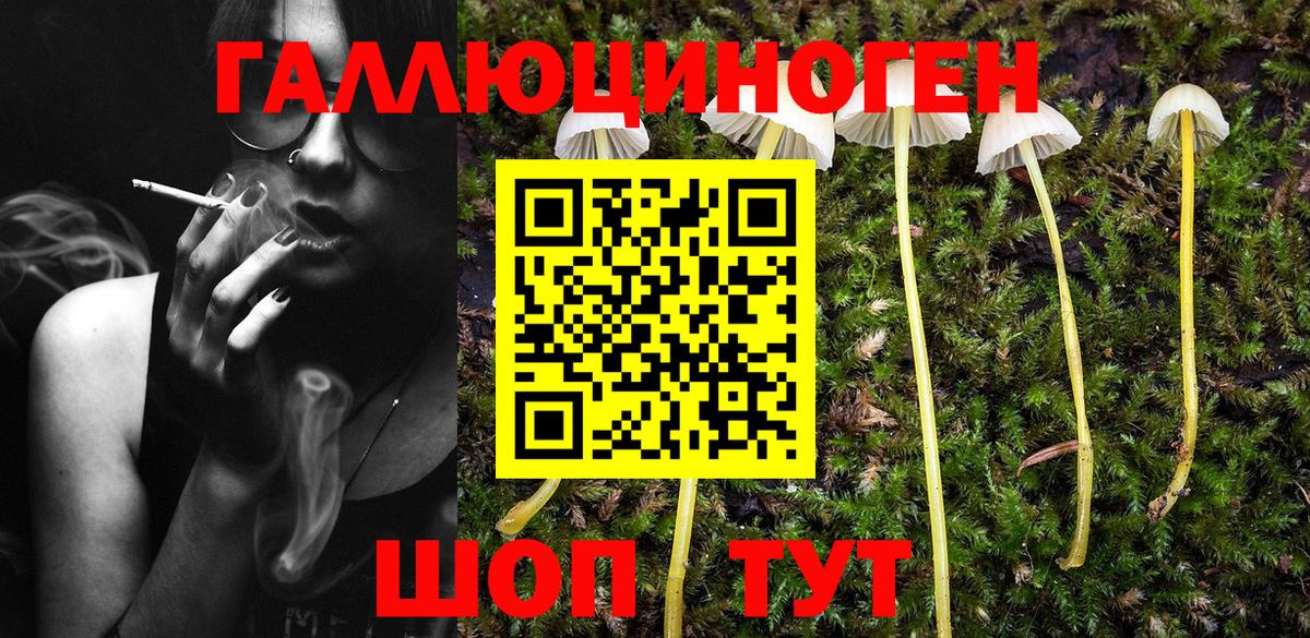 Псилоцибиновые грибы Magic Shrooms Уссурийск
