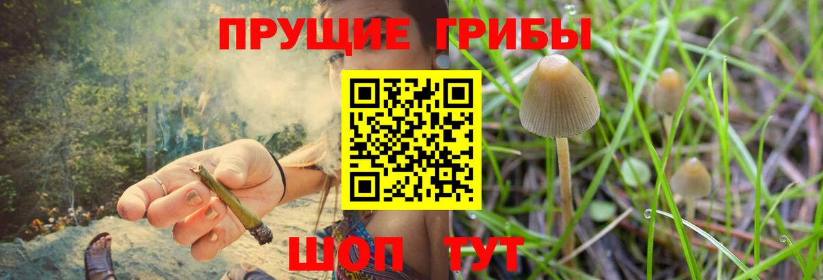 Уссурийск  Псилоцибиновые грибы мухоморы  Псилоцибиновые грибы Psilocybine cubensis  Вход с VPN 